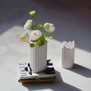 A Set (2 PC) of Dollhouse Miniature Mordern Vase D227