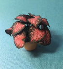 1:12 Dollhouse Miniature Coleus House Plant Kit/Miniature Garden DI P102