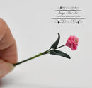 1:12 Dollhouse Miniature Single Pink Zinnia with Leaves BD E3002