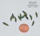 1:12 Dollhouse Miniature Green Chile 12 PC BD P028