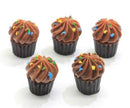 1:6 Doll Miniature 5 PC Chocolate Cupcakes/ Miniature Cakes D154