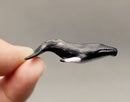 Miniature Humpback Whale/Miniature Animal 1 PC B43