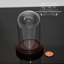 Dollhouse Miniature Large Glass Dome Display on Wood Base BD SC022