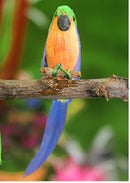 1:12 Dollhouse Miniature Cockatoo/ Miniature Parrot/ Miniature Pet D136