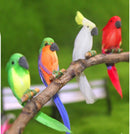 1:12 Dollhouse Miniature Cockatoo/ Miniature Parrot/ Miniature Pet D136