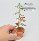 Dollhouse Miniature Large Clay Pot/ Miniature Garden BD B908