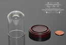Dollhouse Miniature Medium Dome on Wooden Base BD SC21
