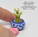 1:12 Dollhouse Miniature Lucky Bamboo in Ceramic Planter BD A1036