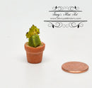 1:12 Dollhouse Miniature Planted Cactus/Miniature Garden BD A1609