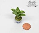 1:12 Dollhouse Miniature Potted Palm / Miniature Garden BD A048