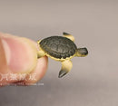Miniature Marine Organism Set/Miniature Animal B46