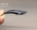 Miniature Marine Organism Set/Miniature Animal B46