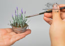1:12 Dollhouse Miniature Lavender Kit  SMA FL001