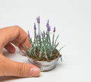 1:12 Dollhouse Miniature Lavender Kit  SMA FL001