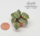 1:12 Dollhouse Miniature House Plant Kit DI P234