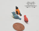 1:12 Dollhouse Miniature Song Birds Set of 3 AZ D1617