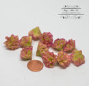 1:12 Dollhouse Miniature Lettuce 5 PC / Purple Miniature Vegetable HMN 1141
