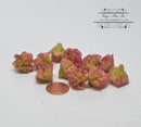 1:12 Dollhouse Miniature Lettuce 5 PC / Purple Miniature Vegetable HMN 1141