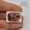 1:12 Dollhouse Miniature Mushroom in Tray / Miniature Vegetable HMN 1533