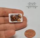 1:12 Dollhouse Miniature Mushroom in Tray / Miniature Vegetable HMN 1533
