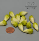 1:12 Dollhouse Miniature Lettuce 5 PC / Green Miniature Vegetable HMN 1136