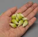 1:12 Dollhouse Miniature Lettuce 5 PC / Green Miniature Vegetable HMN 1136