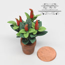1:12 Dollhouse Miniature Red Chili Plant BD A1152