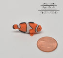 Miniature Clownfish/1 PC AW 10907/HHMUL6026