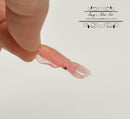 Miniature Squid 1 PC AW 11972