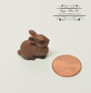 Miniature Rabbit 1 PC AW 11911