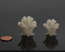 1:12 Dollhouse Miniature Coral Unpainted SMA CR012