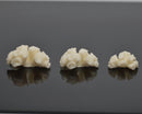 1:12 Dollhouse Miniature Coral Unpainted SMA CR001
