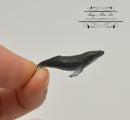 Miniature Humpback Whale 1 PC AW 11905