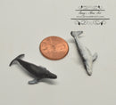 Miniature Humpback Whale 1 PC AW 11905