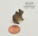 Miniature Koala 1 PC AW 11630