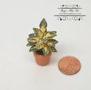 1:12 Dollhouse Miniature Indoor Plant in Clay Pot/ Miniature Garden BD A1033