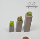 1:12 Dollhouse Miniature Succulents Plants Set in Planter AZ HW4047