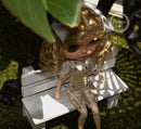 Blythe Outfit/ Blythe Shirt/ Pants Pullips Azone/ Licca OB24 BJD MJA120-Tan