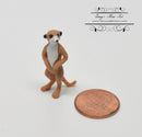 Miniature Meerkat 1 PC AW 11627