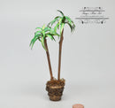 1:12 Dollhouse Miniature Mass Cane Round Planter AZ MR1004