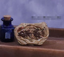 1:12 Dollhouse Miniature Fossil A25