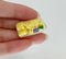 1:12 Dollhouse Miniature Pineapple Cut in Tray A173