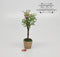 1:12 Dollhouse Miniatures Ornamental Flowering Tree BD A1105