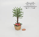 1:12 Dollhouse Miniatures Ficus in Floral Wooden Planter BD A1106