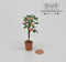 1:12 Dollhouse Miniatures Orange Tree in Clay Pot BD A1176