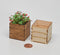 1:12 Dollhouse Miniature Wooden Planter Kit SMA F013