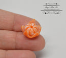 1:6 Dollhouse Miniature Pealed Orange A175