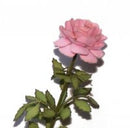 1:12 Dollhouse Miniature Flower Kit Rose Pink / Miniature Garden IBM 001-0002
