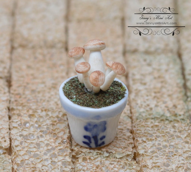 BO 1:12 Dollhouse Miniature Mushroom in Pot/ Miniature Mushrooms BD A044