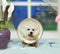 1:12 Dollhouse Miniature Bichon Frise Plate/ Miniature Dog Plate BB CDD501-4